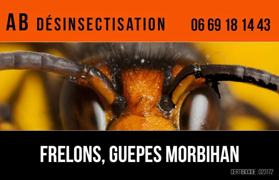 ANTHONY BOUCHER - AB DESINSECTISATION