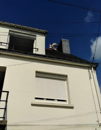 Intervention sur façade Traitement d’un nid de nuisibles sur une façade