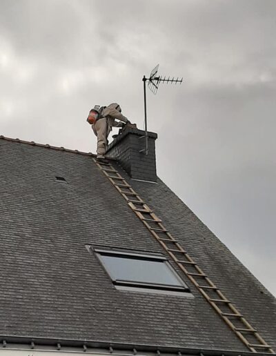 Désinsectisation sur toiture Destruction d’un nid de nuisibles sur un toit