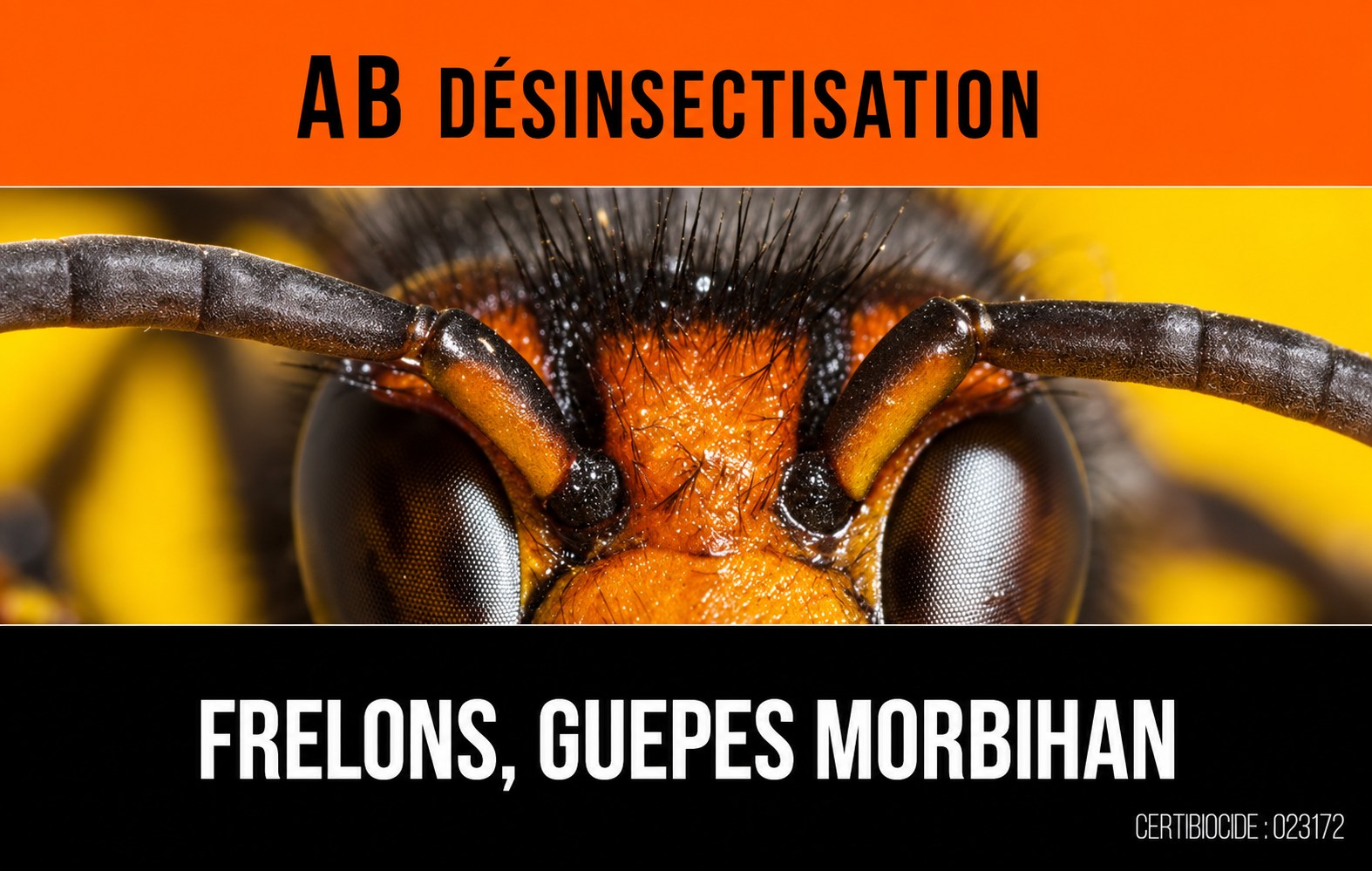 Logo (37) ANTHONY BOUCHER - AB DESINSECTISATION