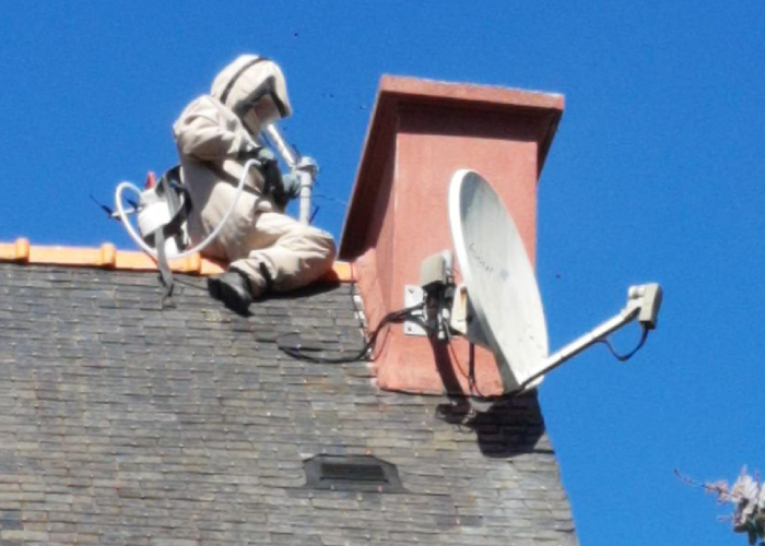 Technicien en combinaison réalisant une désinsectisation